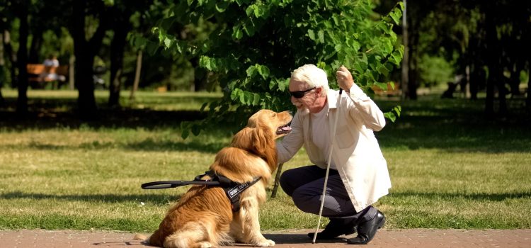 A blind man crouches in front of his service god in a park.